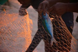 How to Set Up a Fishing Company in Morocco