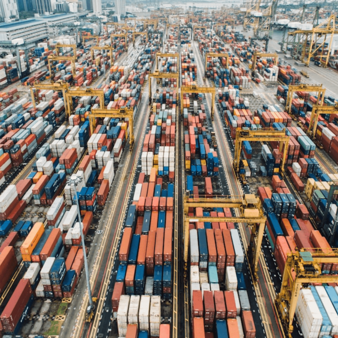  Import & Export Business