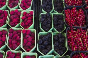 How to Launch a Berry Packhouse with MAP Packaging in Morocco