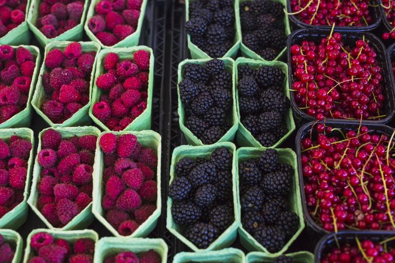 How to Launch a Berry Packhouse with MAP Packaging in Morocco
