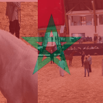 How to Start a Horse Breeding Business in Morocco