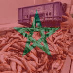 Morocco Fish Business Investment